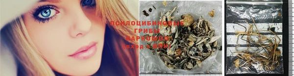 2c-b Туринск
