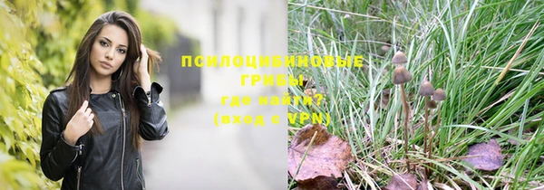 spice Железноводск