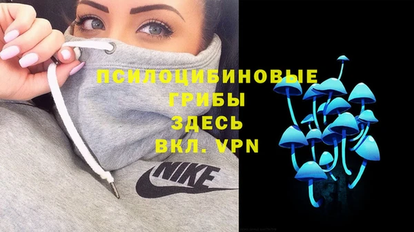 соль ск Жердевка