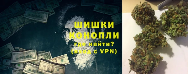 прущие грибы Тихорецк