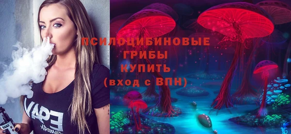 2c-b Туринск
