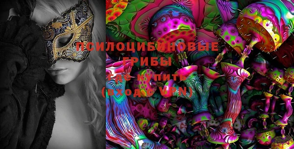 соль ск Жердевка